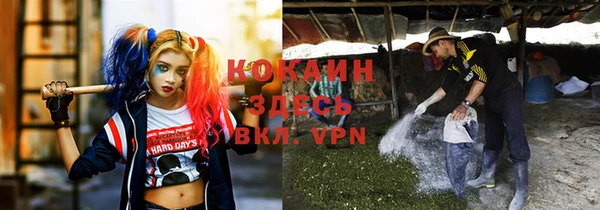 метадон Алексеевка