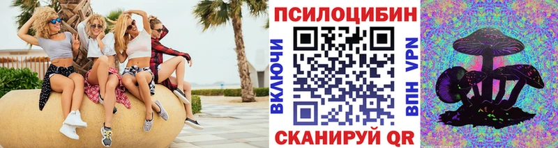 Псилоцибиновые грибы прущие грибы  купить наркотики цена  OMG ТОР  Каменка 